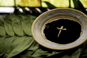 Esoteric meaning of Ash Wednesday Phoenix